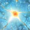 Cognitive Performance
