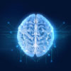 cognitive performance, sleep deprivation, insomnia