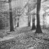 Blog_Large Vertical